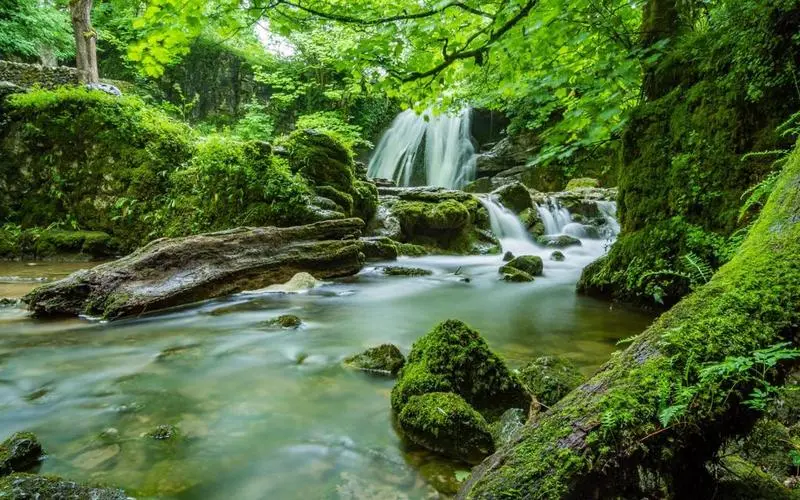 高效智慧智能系统